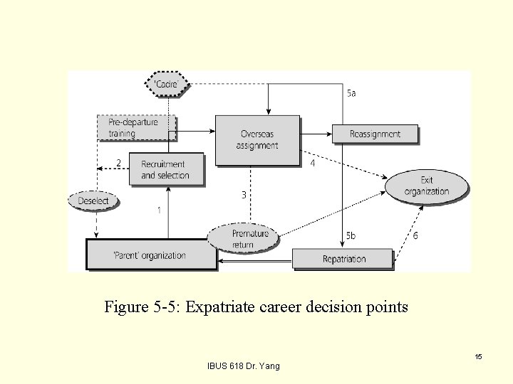 Figure 5 -5: Expatriate career decision points 15 IBUS 618 Dr. Yang 