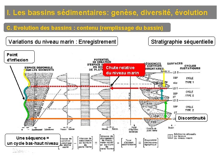 I. Les bassins sédimentaires: genèse, diversité, évolution C. Evolution des bassins : contenu (remplissage