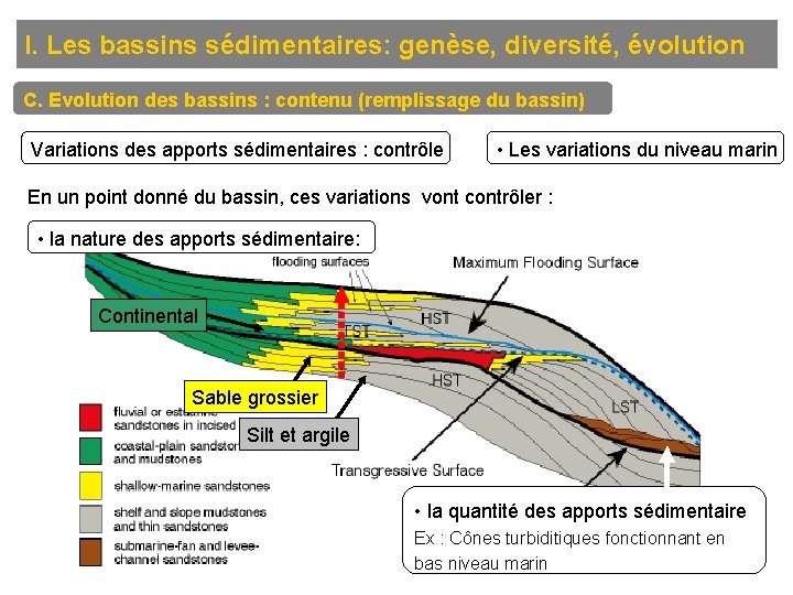 I. Les bassins sédimentaires: genèse, diversité, évolution C. Evolution des bassins : contenu (remplissage