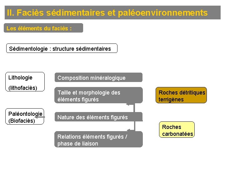 II. Faciès sédimentaires et paléoenvironnements Les éléments du faciès : Sédimentologie : structure sédimentaires
