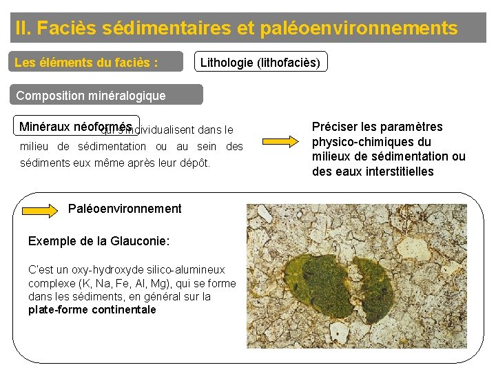 II. Faciès sédimentaires et paléoenvironnements Les éléments du faciès : Lithologie (lithofaciès) Composition minéralogique