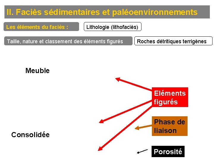II. Faciès sédimentaires et paléoenvironnements Les éléments du faciès : Lithologie (lithofaciès) Taille, nature