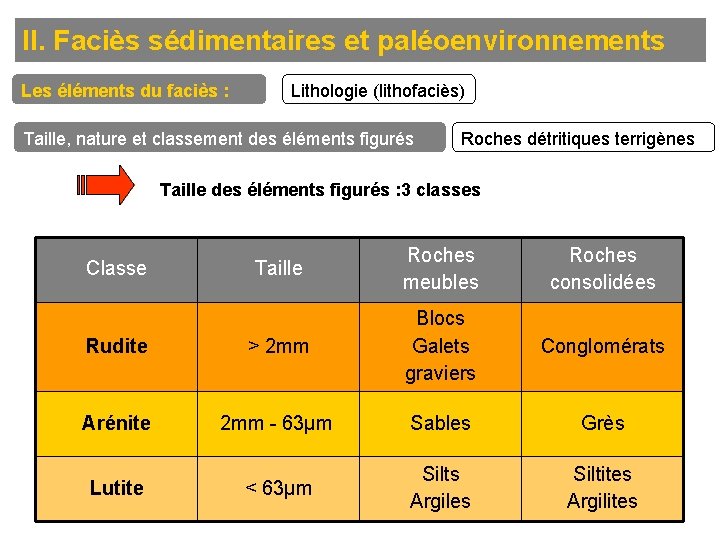 II. Faciès sédimentaires et paléoenvironnements Les éléments du faciès : Lithologie (lithofaciès) Taille, nature