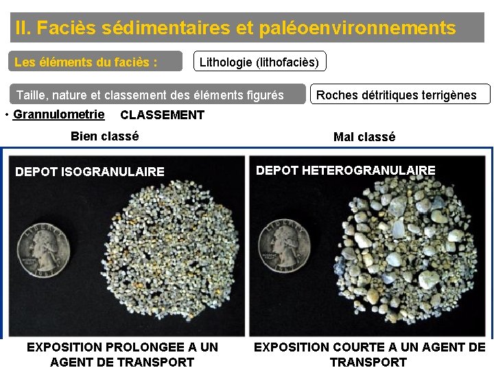 II. Faciès sédimentaires et paléoenvironnements Les éléments du faciès : Lithologie (lithofaciès) Taille, nature