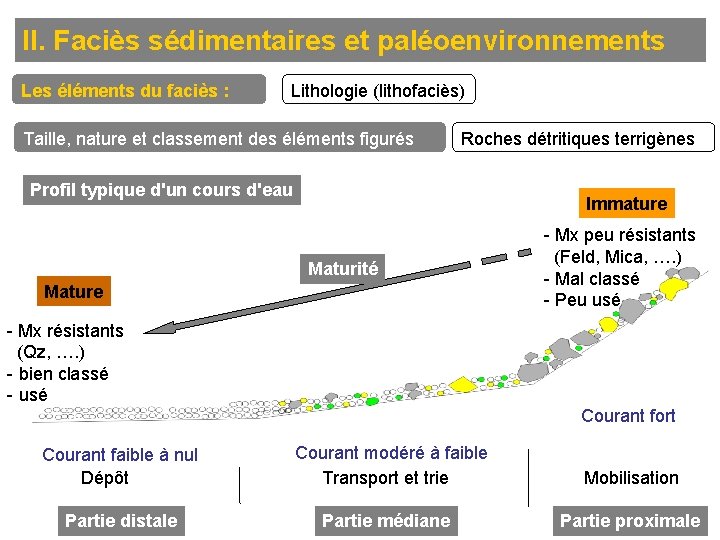 II. Faciès sédimentaires et paléoenvironnements Les éléments du faciès : Lithologie (lithofaciès) Taille, nature