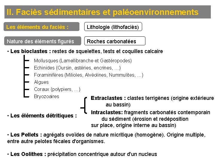 II. Faciès sédimentaires et paléoenvironnements Les éléments du faciès : Lithologie (lithofaciès) Nature des