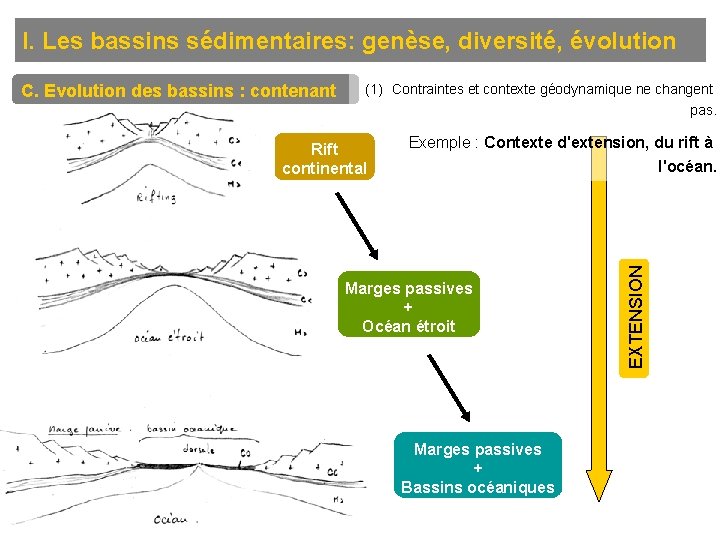 I. Les bassins sédimentaires: genèse, diversité, évolution (1) Contraintes et contexte géodynamique ne changent