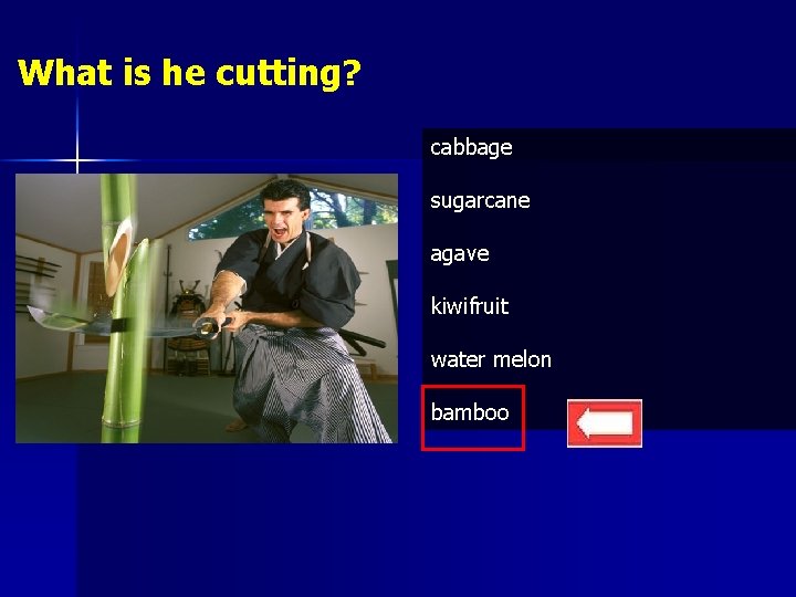 What is he cutting? cabbage sugarcane agave kiwifruit water melon bamboo 
