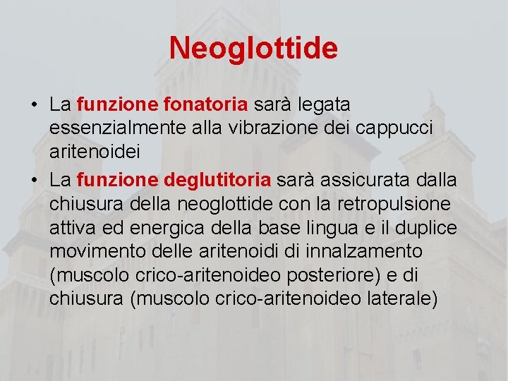 Neoglottide • La funzione fonatoria sarà legata essenzialmente alla vibrazione dei cappucci aritenoidei •