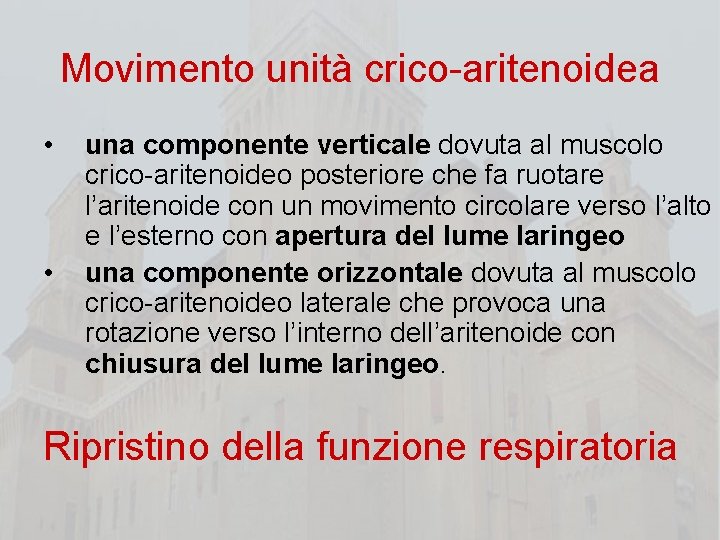 Movimento unità crico-aritenoidea • • una componente verticale dovuta al muscolo crico-aritenoideo posteriore che