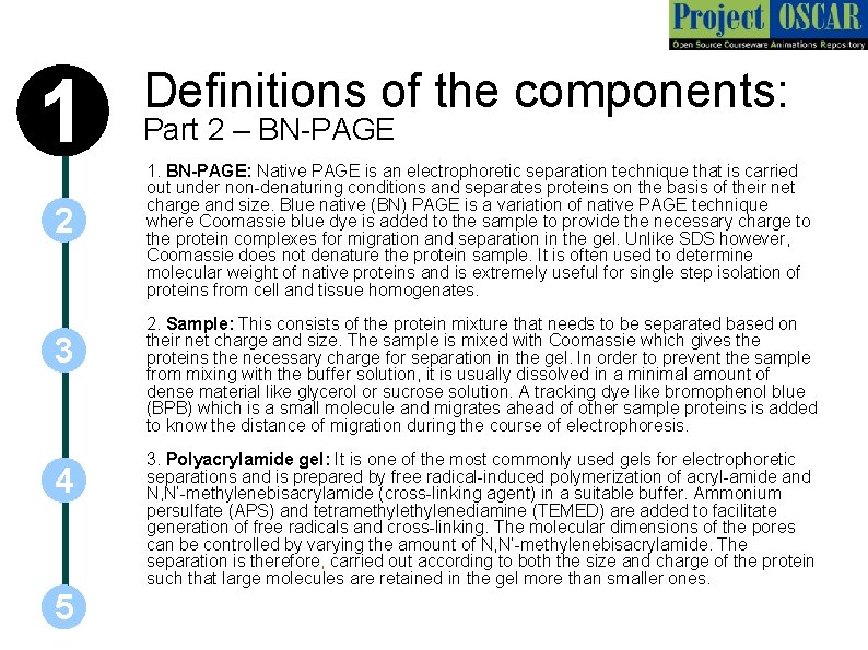 1 2 3 4 5 Definitions of the components: Part 2 – BN-PAGE 1.