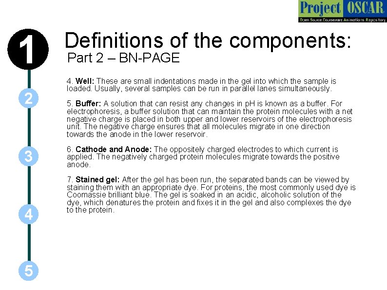 1 2 3 4 5 Definitions of the components: Part 2 – BN-PAGE 4.