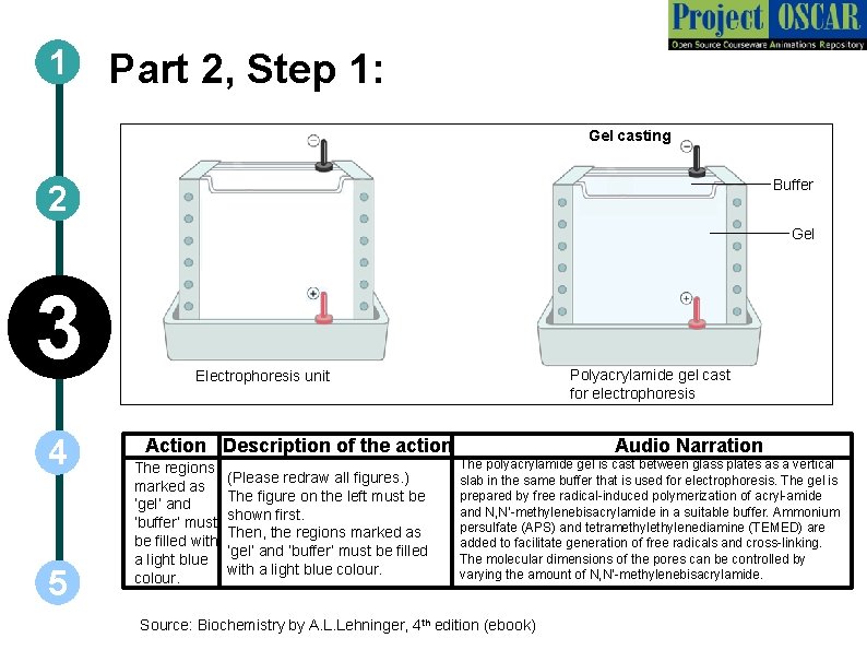 1 Part 2, Step 1: Gel casting Buffer 2 Gel 3 4 5 Polyacrylamide