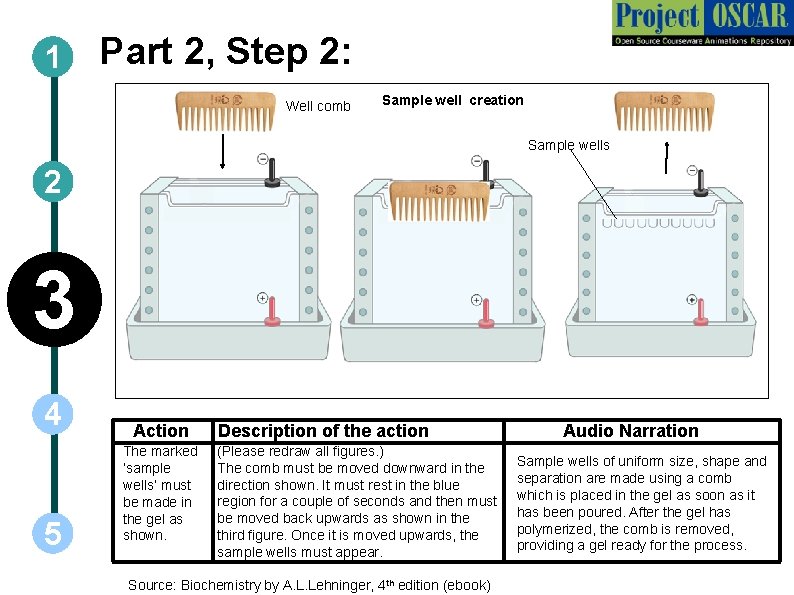 1 Part 2, Step 2: Well comb Sample well creation Sample wells 2 3