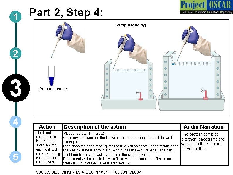 Part 2, Step 4: 1 Sample loading 2 3 4 5 Protein sample Action