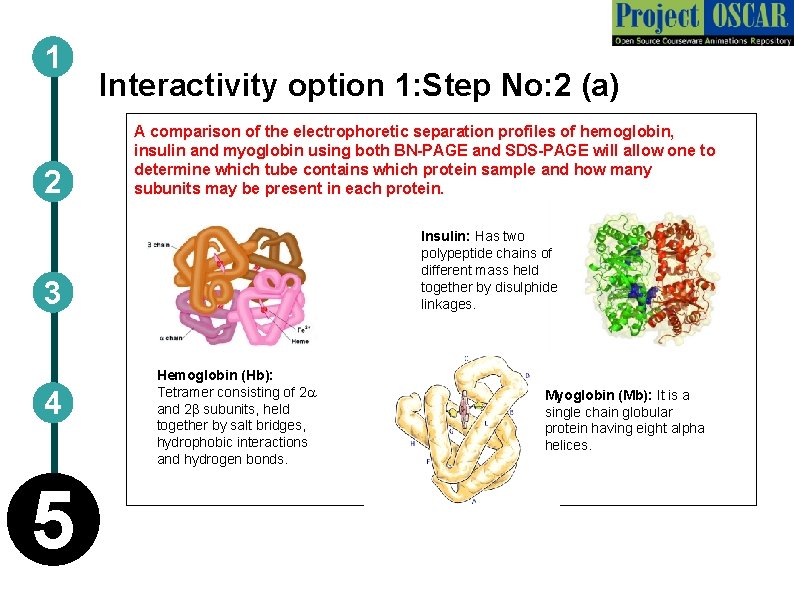 1 2 Interactivity option 1: Step No: 2 (a) A comparison of the electrophoretic