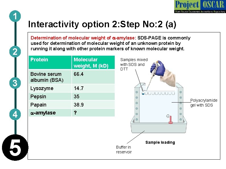 1 2 3 4 5 Interactivity option 2: Step No: 2 (a) Determination of