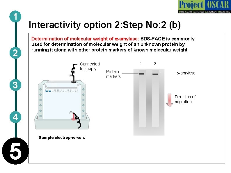 1 2 Interactivity option 2: Step No: 2 (b) Determination of molecular weight of