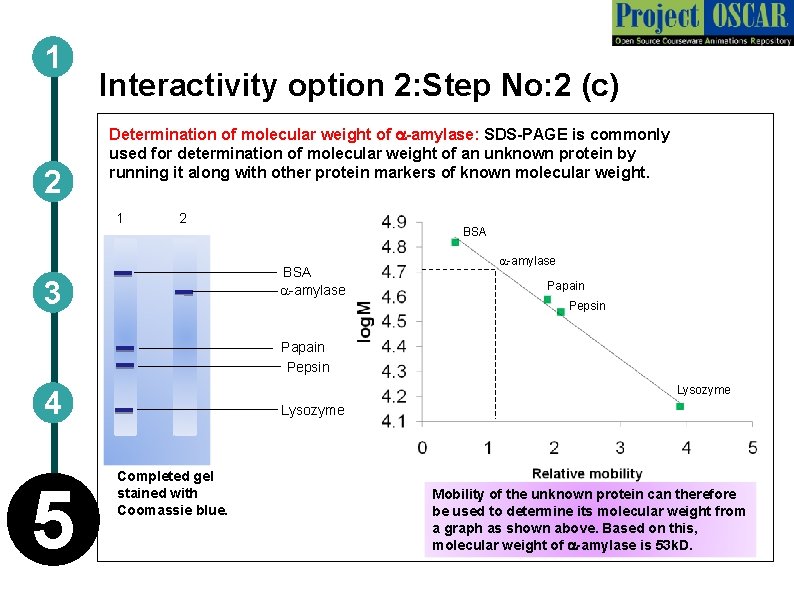 1 2 Interactivity option 2: Step No: 2 (c) Determination of molecular weight of