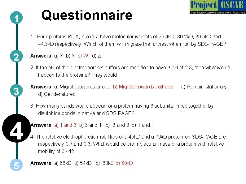 1 Questionnaire 1. Four proteins W, X, Y and Z have molecular weights of