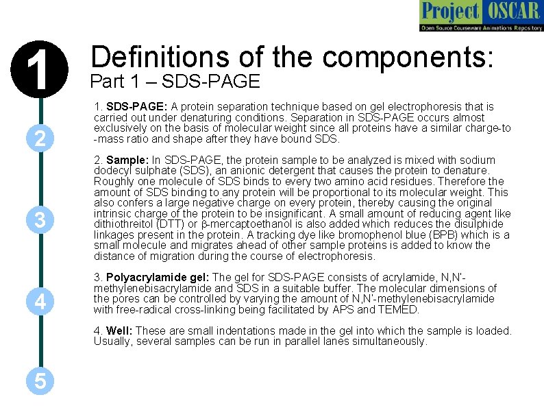 1 2 3 4 Definitions of the components: Part 1 – SDS-PAGE 1. SDS-PAGE: