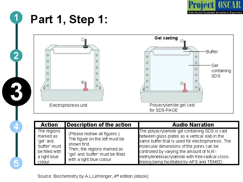 1 Part 1, Step 1: Gel casting Buffer 2 Gel containing SDS 3 4