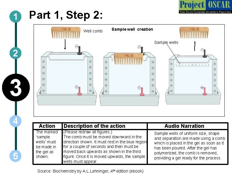1 Part 1, Step 2: Well comb Sample well creation Sample wells 2 3