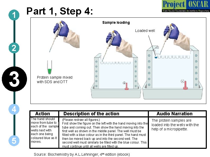 Part 1, Step 4: 1 Sample loading Loaded well 2 3 4 5 Protein