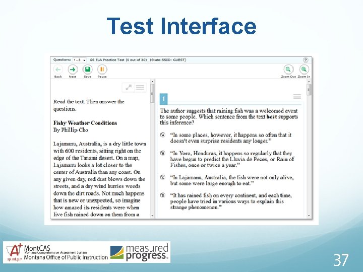 Test Interface 37 