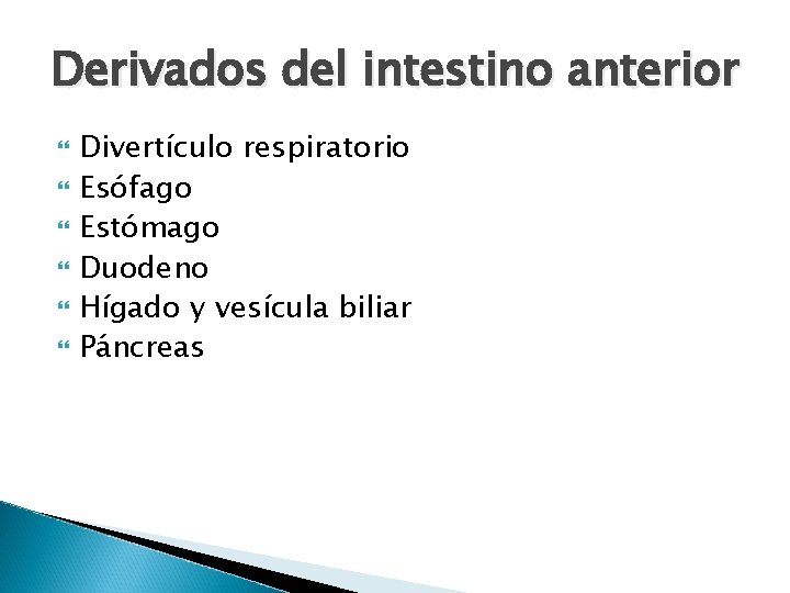 Derivados del intestino anterior Divertículo respiratorio Esófago Estómago Duodeno Hígado y vesícula biliar Páncreas