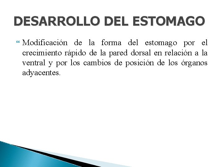 DESARROLLO DEL ESTOMAGO Modificación de la forma del estomago por el crecimiento rápido de