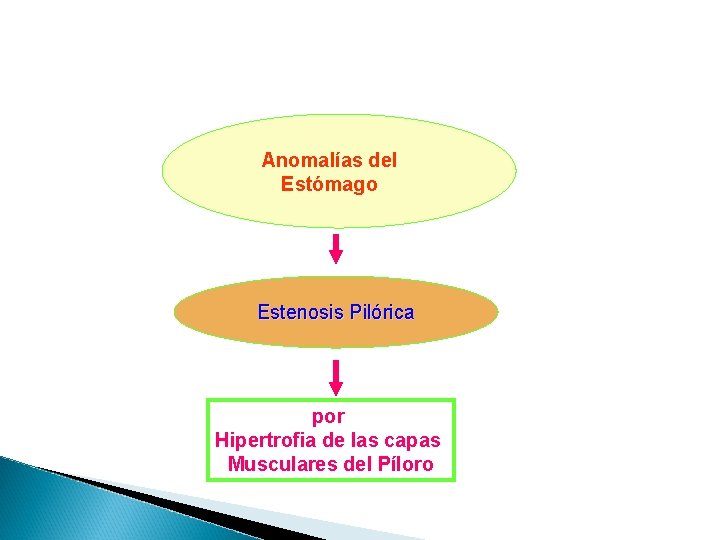 Anomalías del Estómago Estenosis Pilórica por Hipertrofia de las capas Musculares del Píloro 