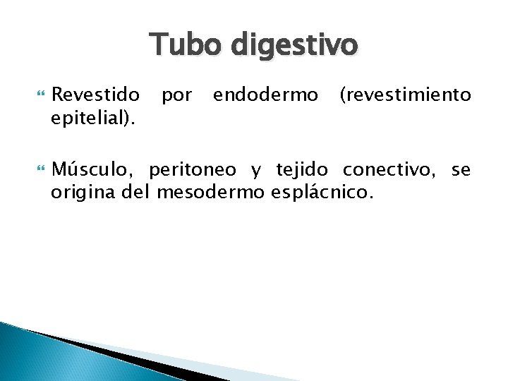 Tubo digestivo Revestido epitelial). por endodermo (revestimiento Músculo, peritoneo y tejido conectivo, se origina