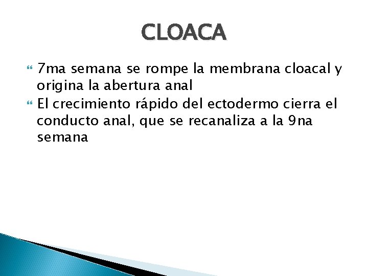 CLOACA 7 ma semana se rompe la membrana cloacal y origina la abertura anal CLOACA 7 ma semana se rompe la membrana cloacal y origina la abertura anal