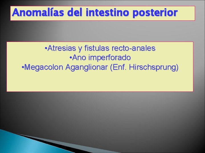 Anomalías del intestino posterior • Atresias y fistulas recto-anales • Ano imperforado • Megacolon Anomalías del intestino posterior • Atresias y fistulas recto-anales • Ano imperforado • Megacolon