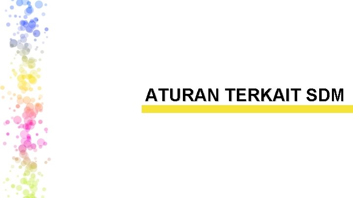 ATURAN TERKAIT SDM ATURAN TERKAIT SDM