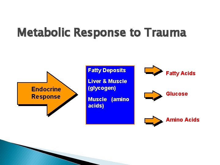 Metabolic Response to Trauma Fatty Deposits Endocrine Response Liver & Muscle (glycogen) Muscle (amino