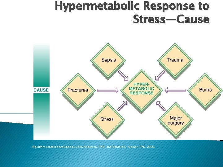 Hypermetabolic Response to Stress—Cause Algorithm content developed by John Anderson, Ph. D, and Sanford