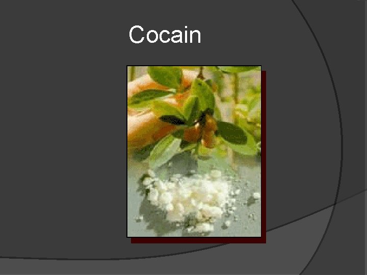 Cocain 