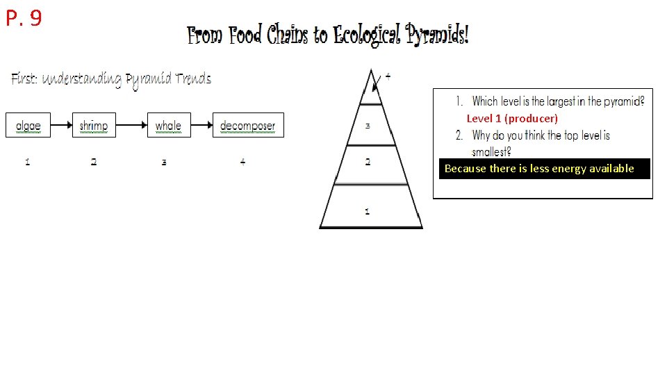 P. 9 Level 1 (producer) Because there is less energy available sun Producer/Autotroph 90%