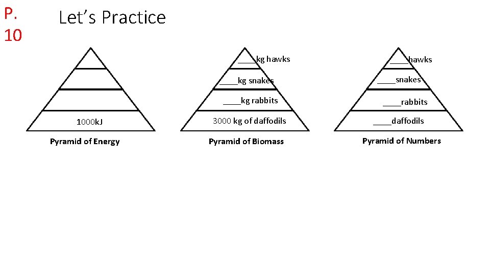 P. 10 Let’s Practice ____kg hawks ____kg snakes ____kg rabbits 1000 k. J Pyramid