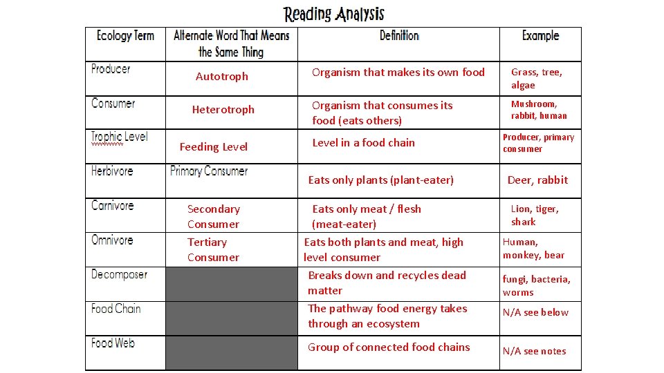 Autotroph Heterotroph Feeding Level Organism that makes its own food Grass, tree, algae Organism