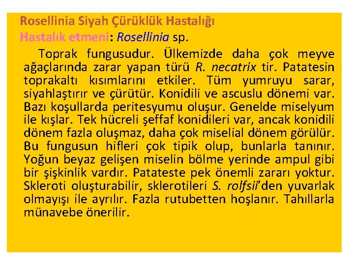 Rosellinia Siyah Çürüklük Hastalığı Hastalık etmeni: Rosellinia sp. Toprak fungusudur. Ülkemizde daha çok meyve