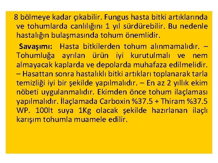 8 bölmeye kadar çıkabilir. Fungus hasta bitki artıklarında ve tohumlarda canlılığını 1 yıl sürdürebilir.