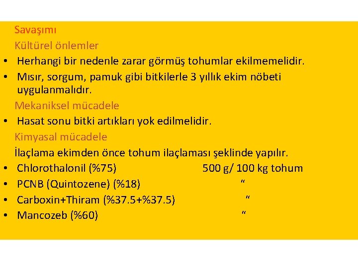  • • Savaşımı Kültürel önlemler Herhangi bir nedenle zarar görmüş tohumlar ekilmemelidir. Mısır,