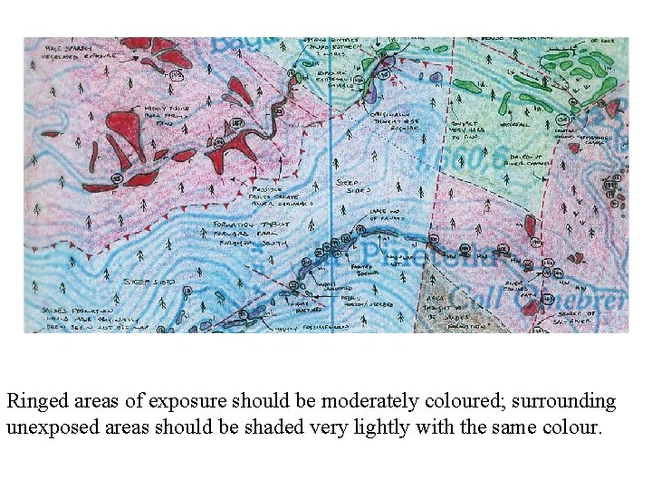 Ringed areas of exposure should be moderately coloured; surrounding unexposed areas should be shaded