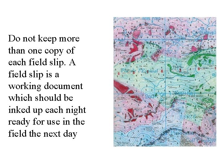 Do not keep more than one copy of each field slip. A field slip