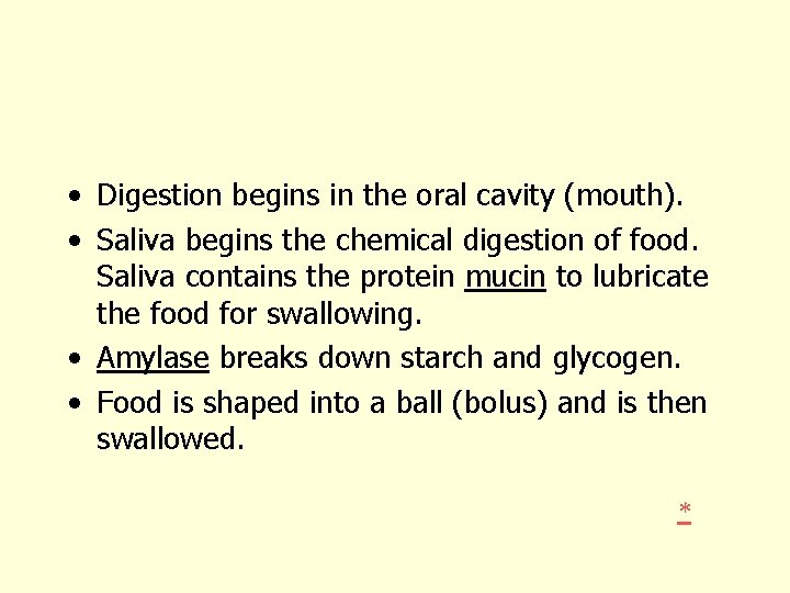 • Digestion begins in the oral cavity (mouth). • Saliva begins the chemical • Digestion begins in the oral cavity (mouth). • Saliva begins the chemical