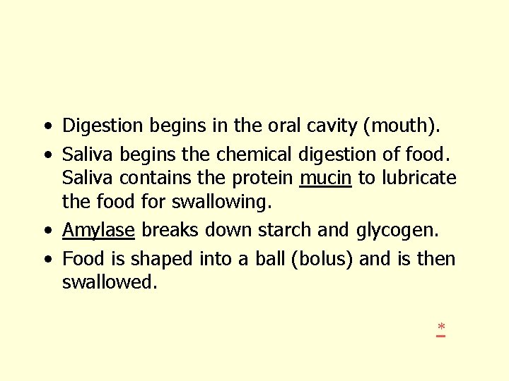  • Digestion begins in the oral cavity (mouth). • Saliva begins the chemical