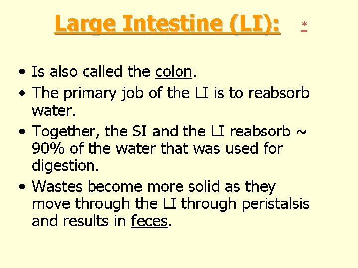 Large Intestine (LI): * • Is also called the colon. • The primary job